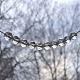 photo-2985834
