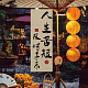 photo-2983779