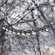 photo-2985840