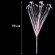 photo-2981771